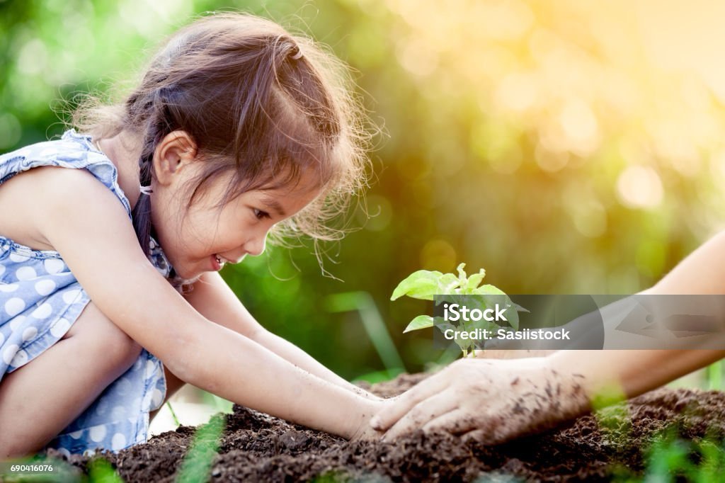 sustainability