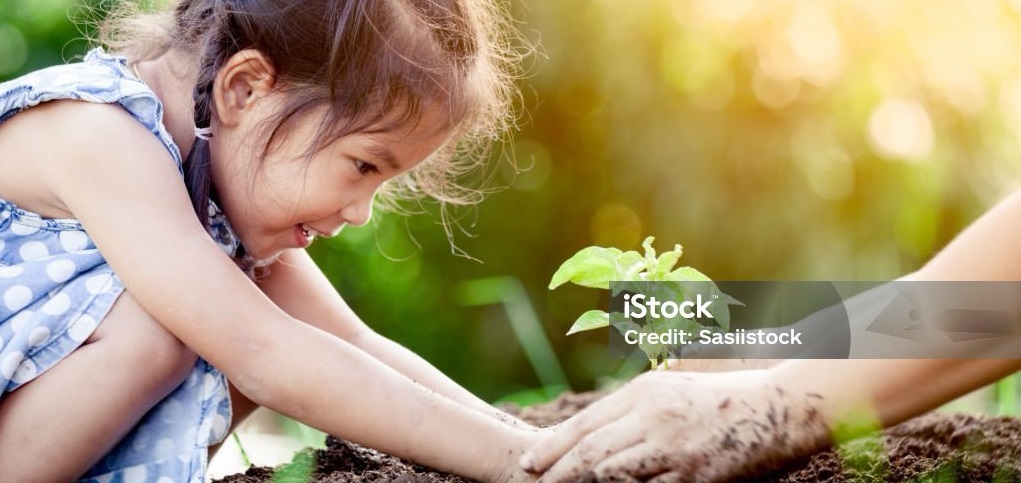 Sustainability